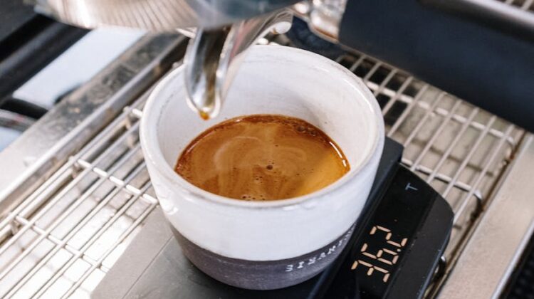 Gaggia Classic Pro vs Classic Evo Pro: Which Espresso Machine is Best for You?