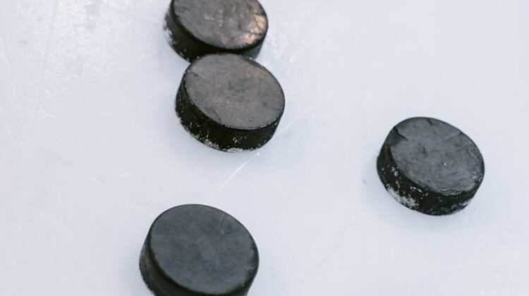 How Puck Screens Improve Water Dispersion and Cleanliness