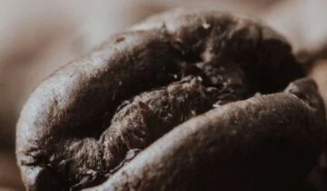 Why Single Dosing is Revolutionizing the Home Espresso Grinder Market