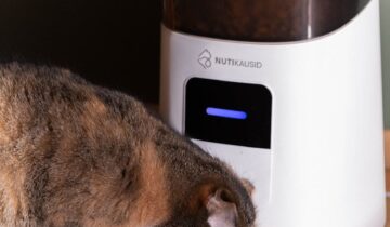 How to A/B Test Slow Feeding Techniques at Home