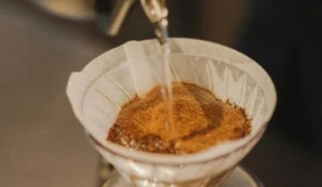 Water Filtration Options for the Gaggia Anima Prestige Mavea vs Intenza+