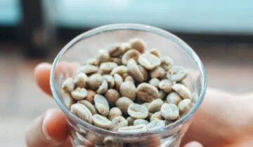 Understanding Gaggia Velasca Aroma Strength Settings for Different Roasts