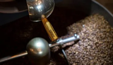The Impact of Bean Freshness on Gaggia Velasca Extraction Quality