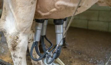 How to Clean Your Automatic Milk System to Prevent Sour Flavors