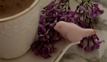 The Impact of Chocolate Cocoa Percentage on Espresso Tasting Notes