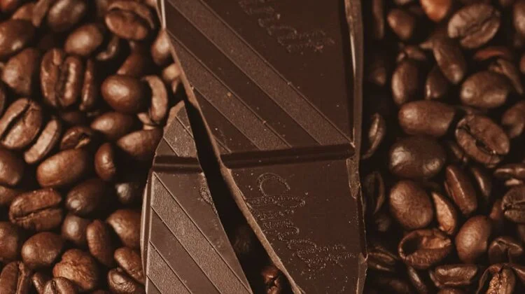 Choosing Between Ristretto and Lungo for Rich Chocolate Pairings