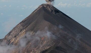 Signs Your Espresso Beans Are Too Fresh for Brewing