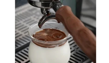 Espresso Taste Test: A Structured Method for Home Baristas