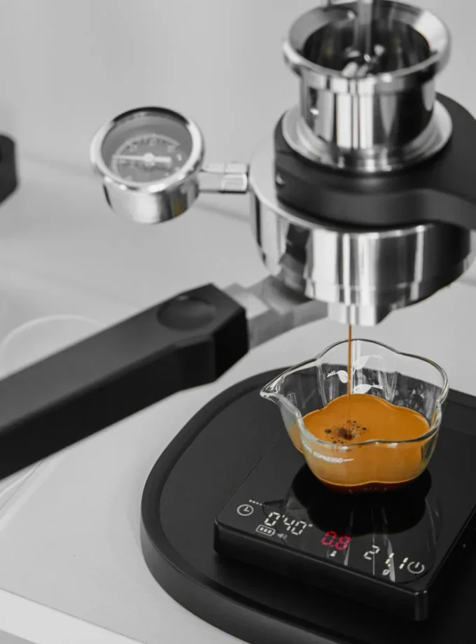 IKAPE Polaris Flat-Bottom Bottomless Portafilter